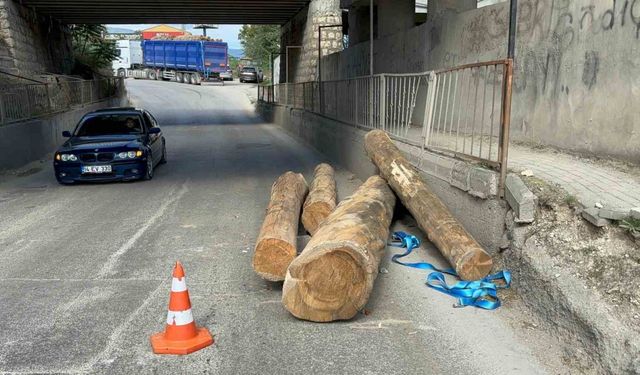 Tır alt geçitten geçerken tomruklar yola savruldu