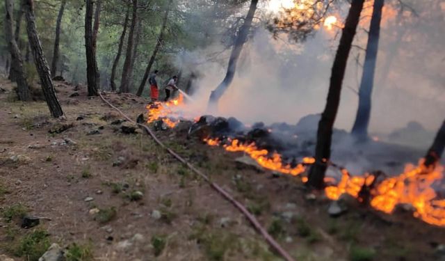 Yayladağı’nda örtü yangını çıktı