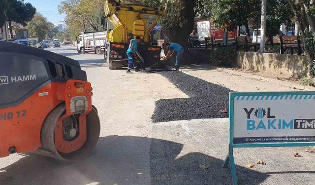 Yollarda öncelik yaya ve araç güvenliği