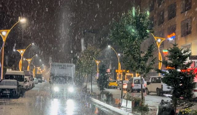 Yüksekova’ya lapa lapa kar yağdı