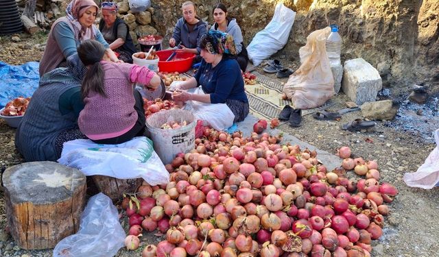 Adana Feke'de nar ekşisinin zorlu mesaisi başladı