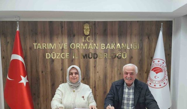 Düzce kestane balında kalite ve marka değeri için güç birliği