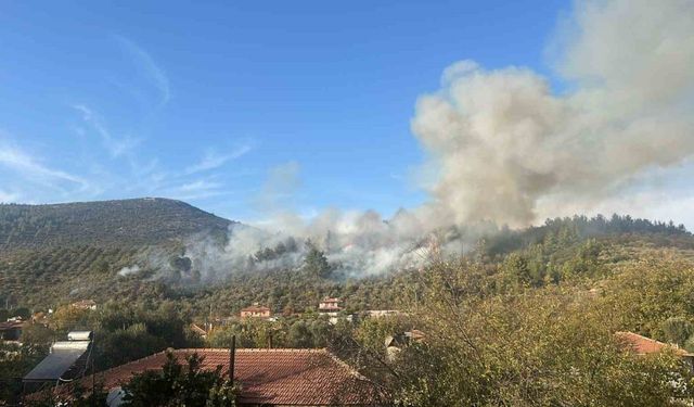 Menteşe’deki yangına havadan müdahale