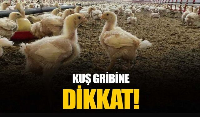 Kuş gribine karşı uzman uyarısı yapıldı