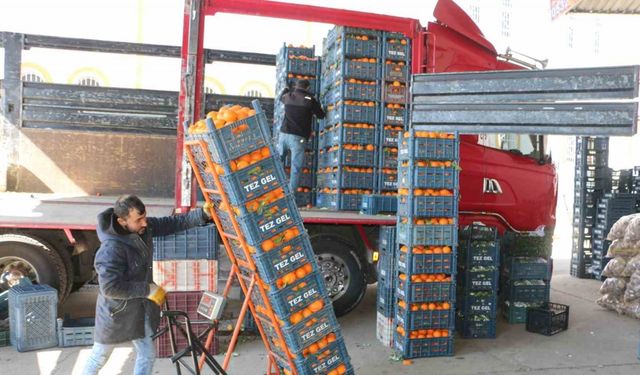 Diyarbakır’da soğuk hava sebze ve meyve fiyatlarını ateşledi