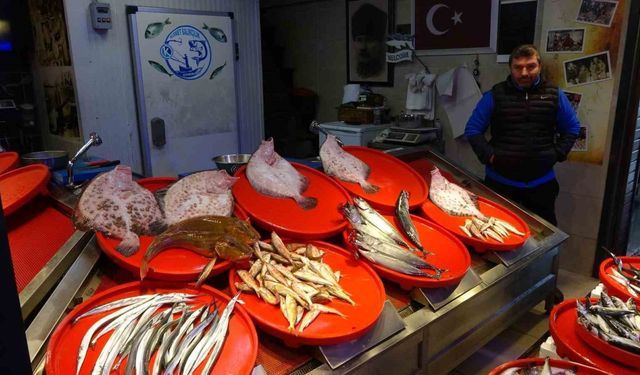 Kalkan balığı tezgahlarda kendini göstermeye başladı