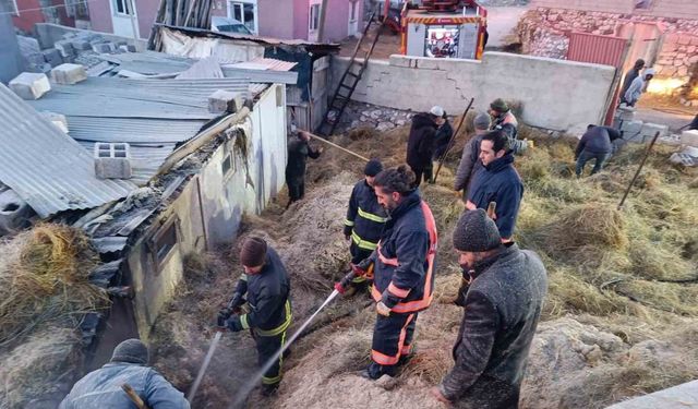 Tuşba’da ot yangını çıktı