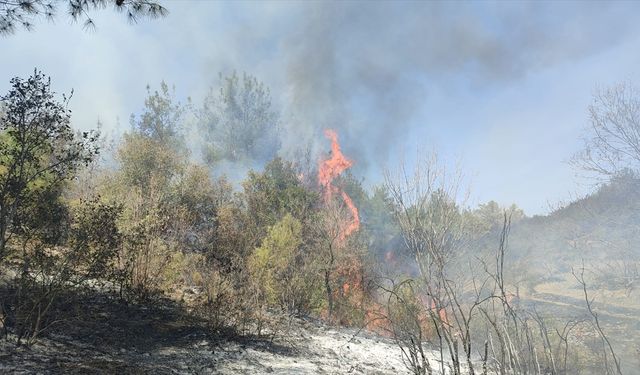 Osmaniye Düziçi'nde 90 hektar orman alanı yandı