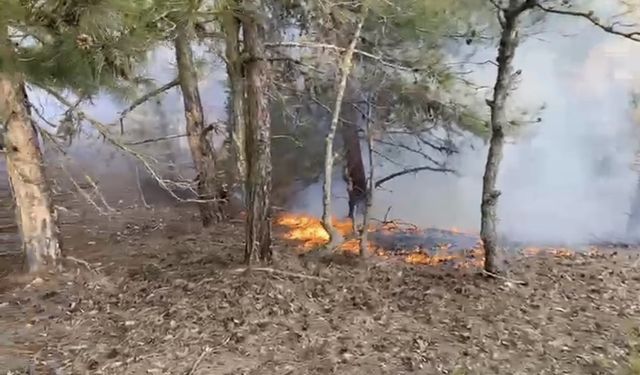 Osmaniye Düziçi'nde orman yangını çıktı