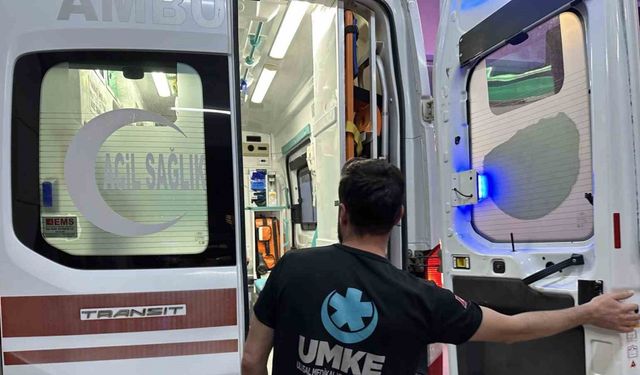 Adıyaman'da sokak köpeği saldırısı: 1 yaralı