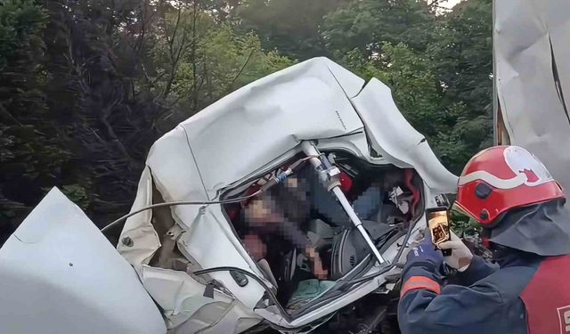 Anadolu Otoyolu Kocaeli'de feci kaza: Tıra çarpan kamyon sürücüsü öldü