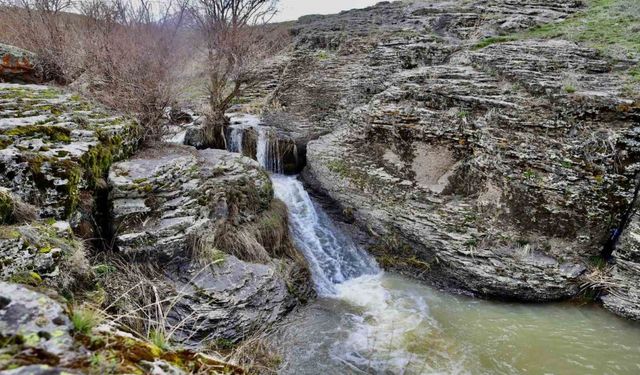 Bekiran Şelalesi baharda güzelliğiyle mest ediyor: Ağrı’nın saklı güzelliği