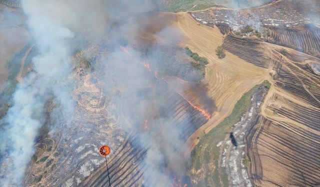Adana'da tarladan ormana yangın sıçradı: 2 gözaltı