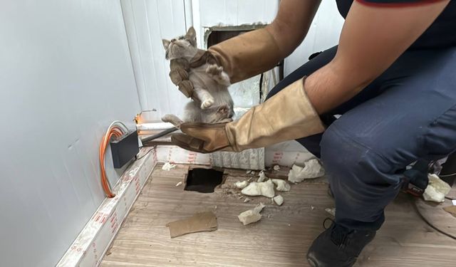 Gebze'de itfaiye ekibi kurtardığı kedi yavrusunu sahiplendi