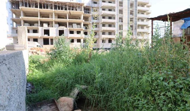 Adana’da çevre skandalı: Kozan'da boru döşeyip lagımı Kilgen Çayı’na bırakmışlar
