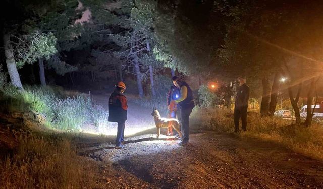İstanbul Aydos Ormanı'nda kayboldu