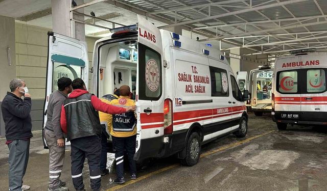 Siverek’te tırın çarptığı yaşlı kadın öldü