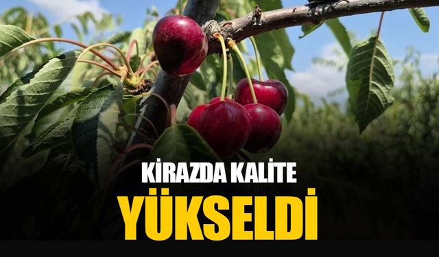 Kirazda kalite yükseldi: Tekirdağ’da 3 bin ton rekolte beklentisi
