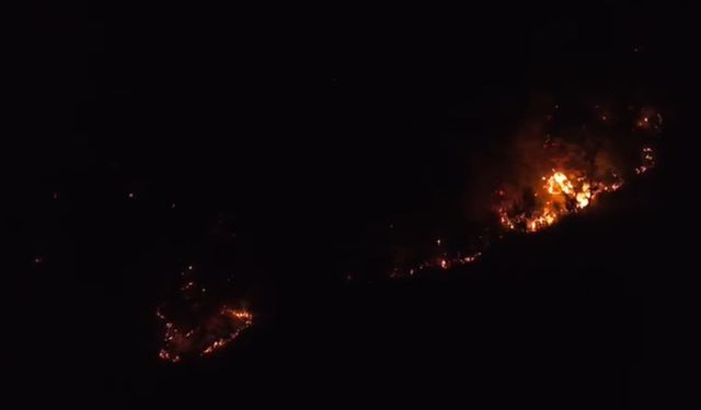 Adana Kozan’daki yangın kontrol altına alındı: 2’si ev 3 yapı zarar gördü