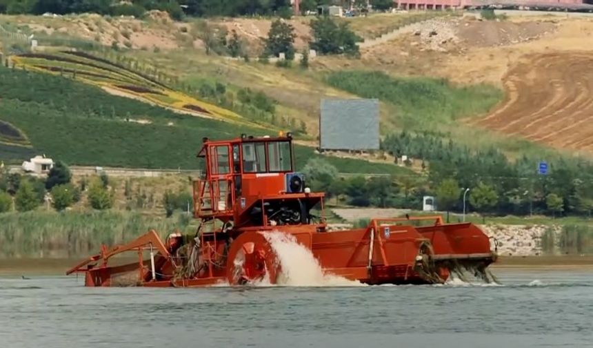 "İki etaptan oluşan dip çamuru temizleme çalışmalarıyla canlı florası korunurken, gölün etrafında da çevre düzenlemesi gerçekleştirildi. Temizlenerek eski güzelliğine kavuşan Mogan Gölü, su canlıları ve kuşların yaşam alanı olmaya devam ederken vatandaşlarımız için de keyifli vakit geçirebilecekleri bir sosyal yaşam alanı oldu."


