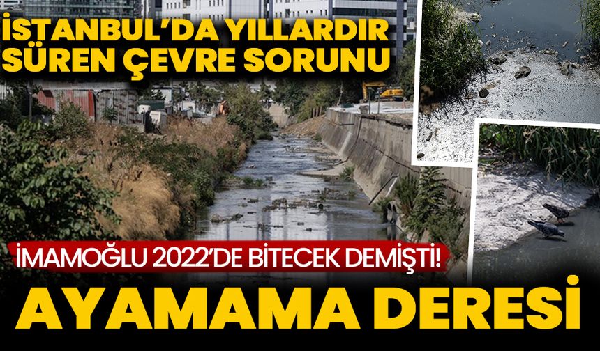 İstanbul’da yıllardır çözülemeyen çevre sorunu: Ayamama Deresi