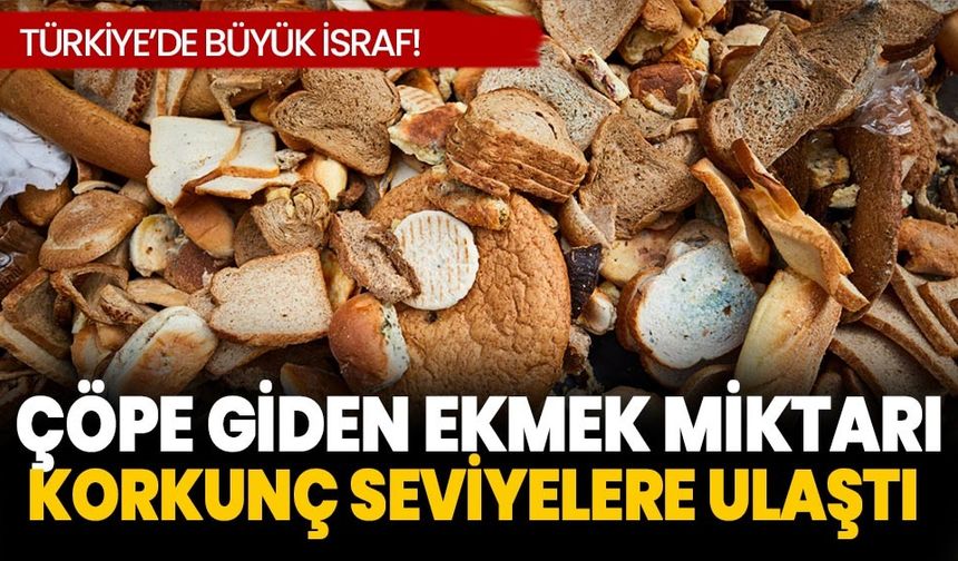 Türkiye'de yılda çöpe giden ekmek miktarı korkunç seviyelere ulaştı