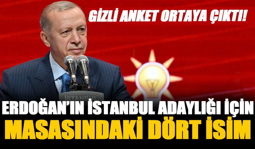 Cumhurbaşkanı Erdoğan'ın İstanbul için yaptırdığı gizli anketteki 4 isim