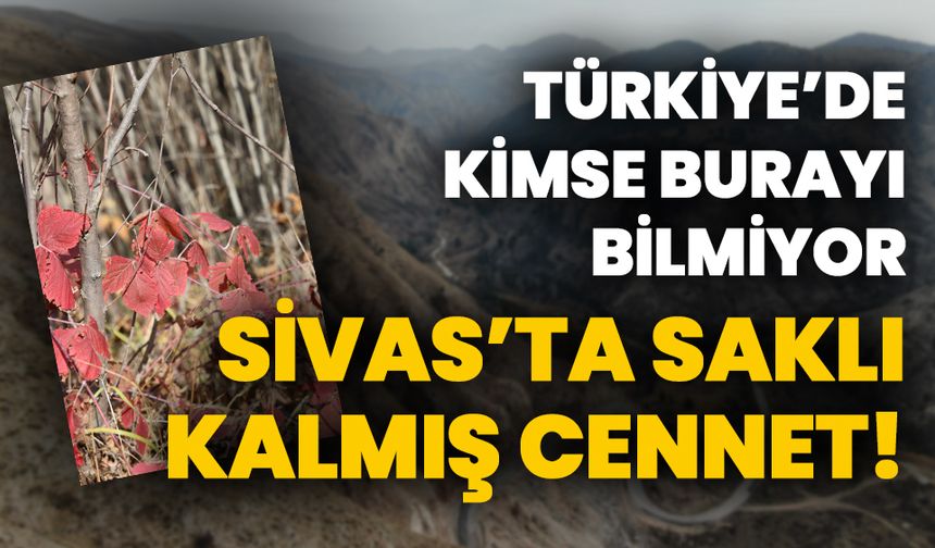 Türkiye'de kimse burayı bilmiyor! Sivas'ın saklı cenneti turizme kazandırılmayı bekliyor
