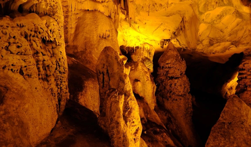 Trakya'da olağanüstü bir mağara! 16 farklı türden tam 60 bin yarasaya ev sahipliği yapıyor!