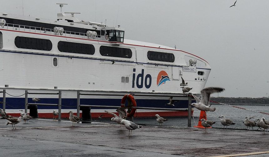 İstanbul Deniz Otobüslerinin bazı seferleri iptal edildi