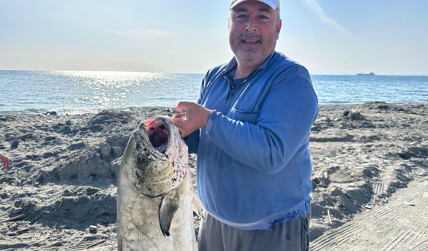 Hatay'da amatör balıkçının oltasına dev balık takıldı