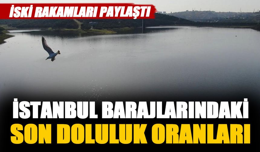 İstanbul barajlarındaki son doluluk oranları