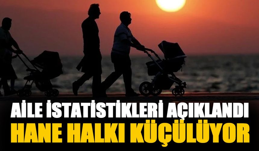 Türkiye'nin aile istatistikleri açıklandı! Hane halkı küçülüyor