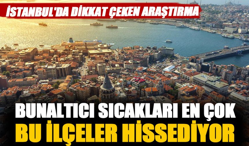 İstanbul'da yaz sıcaklarının en çok etkilediği ilçeler