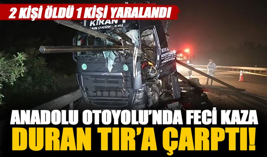 Anadolu Otoyolu'nda feci kaza! 2 ölü 1 yaralı