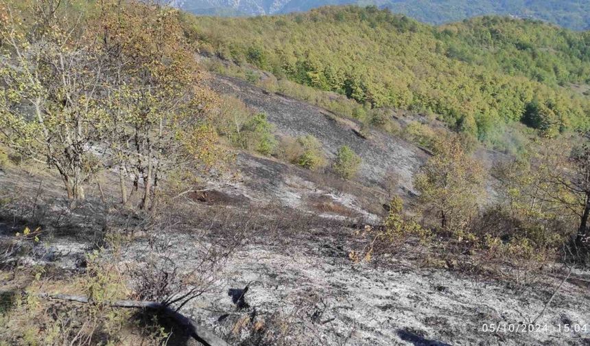 Örtü yangını ormana sıçramadan söndürüldü