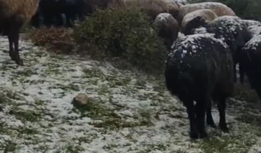 Tokat’ta dolu yağışı yaylayı beyaza bürüdü