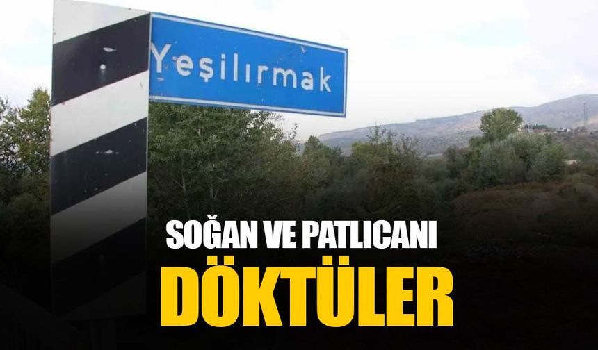 Yeşilırmak kıyısına çuvallar dolusu soğan ve patlıcan döktüler