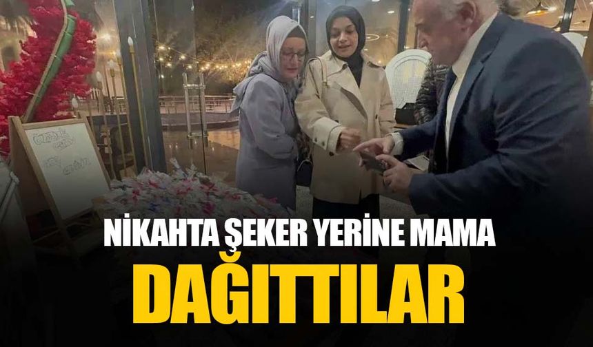 Nişanda şeker yerine hayvan maması dağıttılar