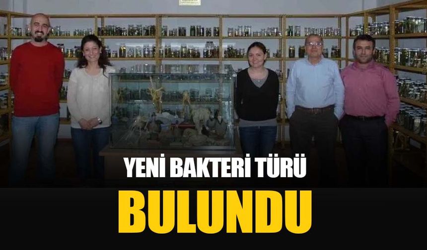 Yeni bir bakteri türü keşfedildi