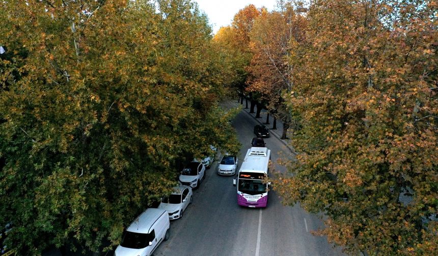 Karaçomak Deresi boyunca uzanan ağaçların sonbahar renkleri dron ile görüntülendi