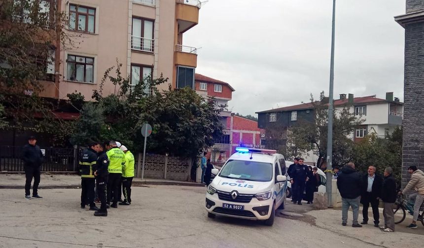 Ordu'da çöp kamyonunun çarptığı kişi öldü