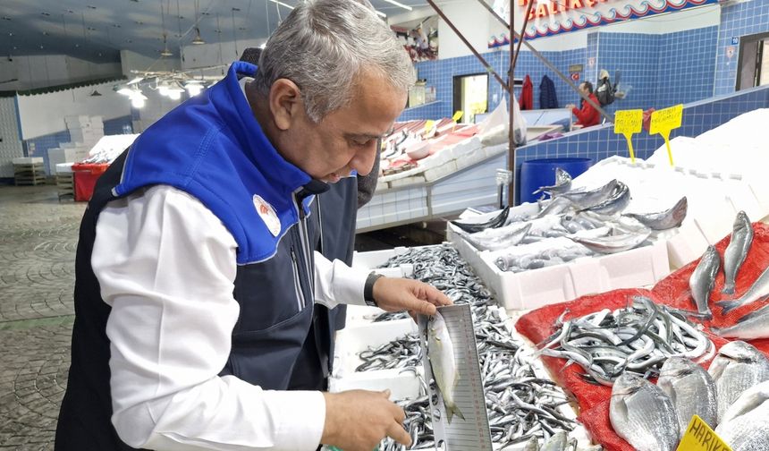 Samsun'da boy limitinin altında balık avlayanlara yaklaşık 2 milyon lira ceza kesildi