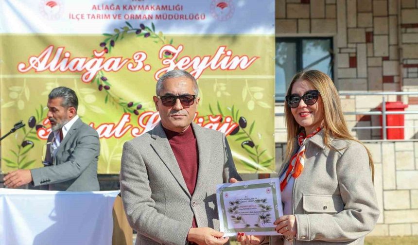 Aliağa’da 3. Zeytin Hasat Şenliği düzenlendi