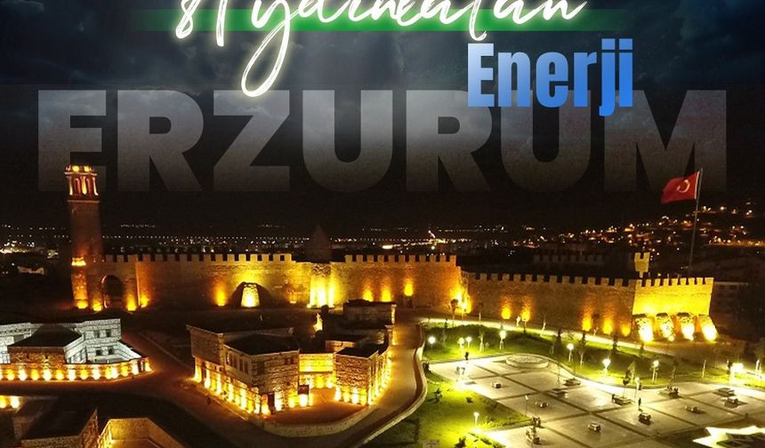 Aras Elektrik’ten rekor sürede enerji arzı