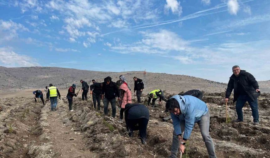 Ata’yı fidan dikerek andılar