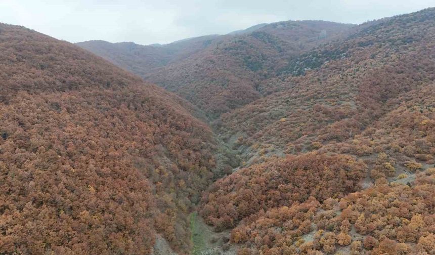 Bilecik’te sonbahar manzaralarını görenler hayran kaldı