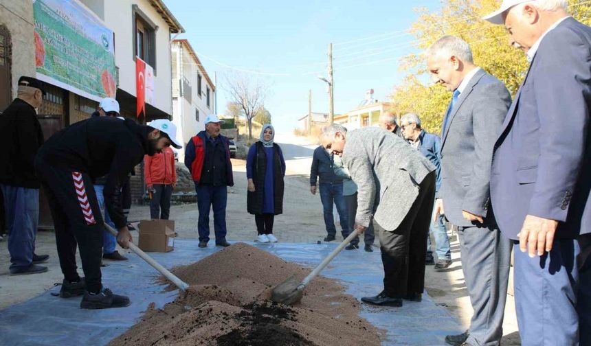 Elazığ’da organik mercimek üretimi artıyor