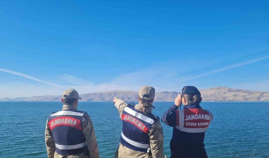 Elazığ’da ot yangınını jandarma ekipleri söndürdü