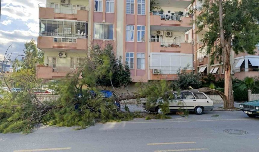 Mersin’de fırtına ağaçlar devrildi, araçlar zarar gördü camlar kırıldı